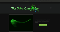 Desktop Screenshot of casey-lab.com